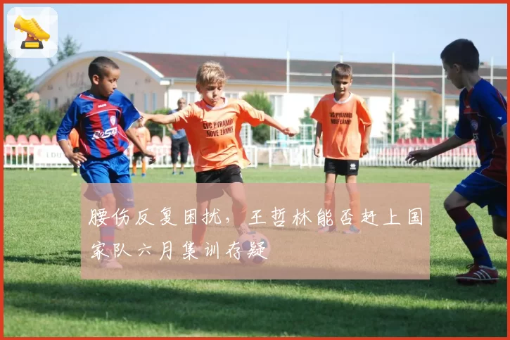 腰伤反复困扰，王哲林能否赶上国家队六月集训存疑