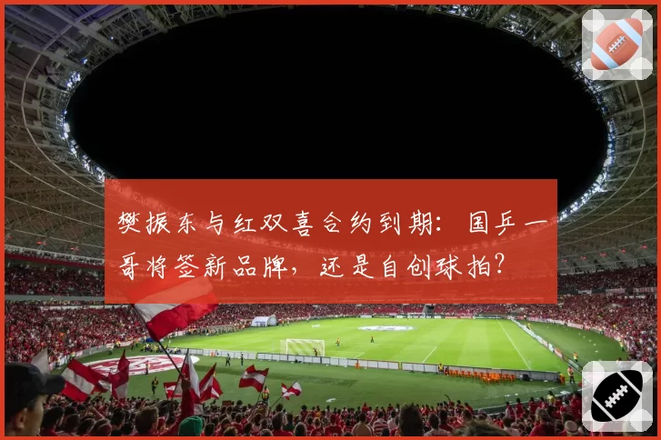 樊振东与红双喜合约到期：国乒一哥将签新品牌，还是自创球拍？