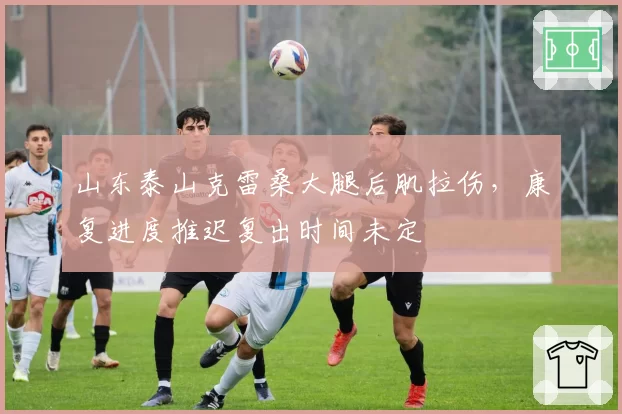 山东泰山克雷桑大腿后肌拉伤，康复进度推迟复出时间未定