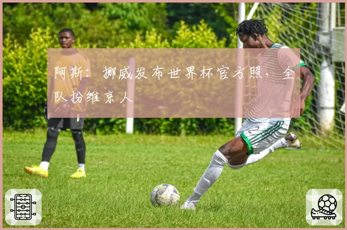 阿斯：挪威发布世界杯官方照，全队扮维京人