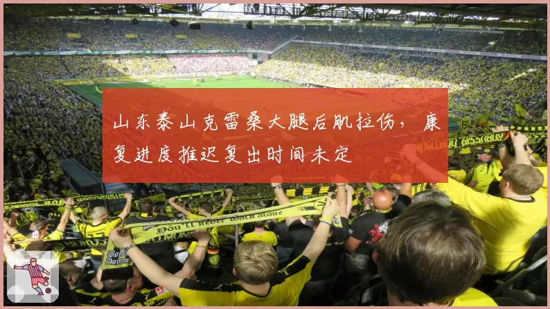 山东泰山克雷桑大腿后肌拉伤，康复进度推迟复出时间未定