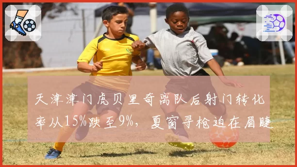 天津津门虎贝里奇离队后射门转化率从15%跌至9%,夏窗寻枪迫在眉睫