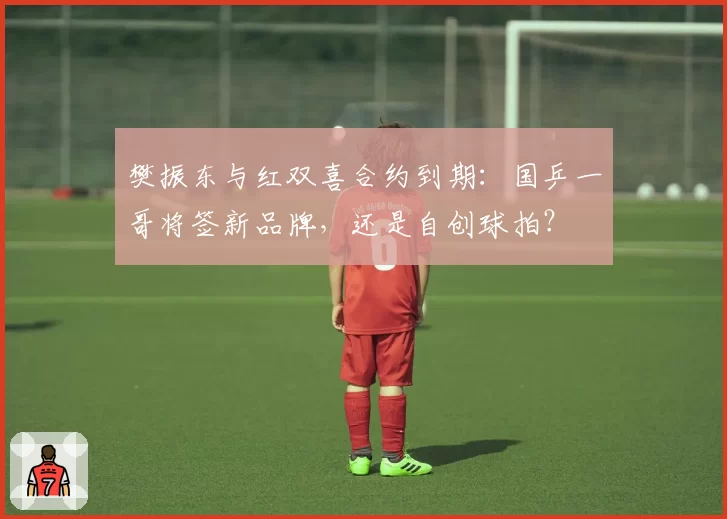 樊振东与红双喜合约到期：国乒一哥将签新品牌，还是自创球拍？